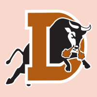 Durham-bulls Urban Hoodie | Teevron
