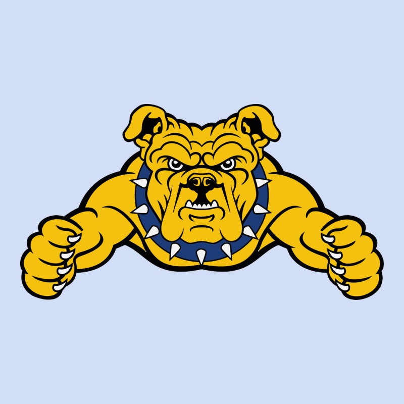 North Carolina A&t Aggies Urban Hoodie by linhVisuals | Teevron