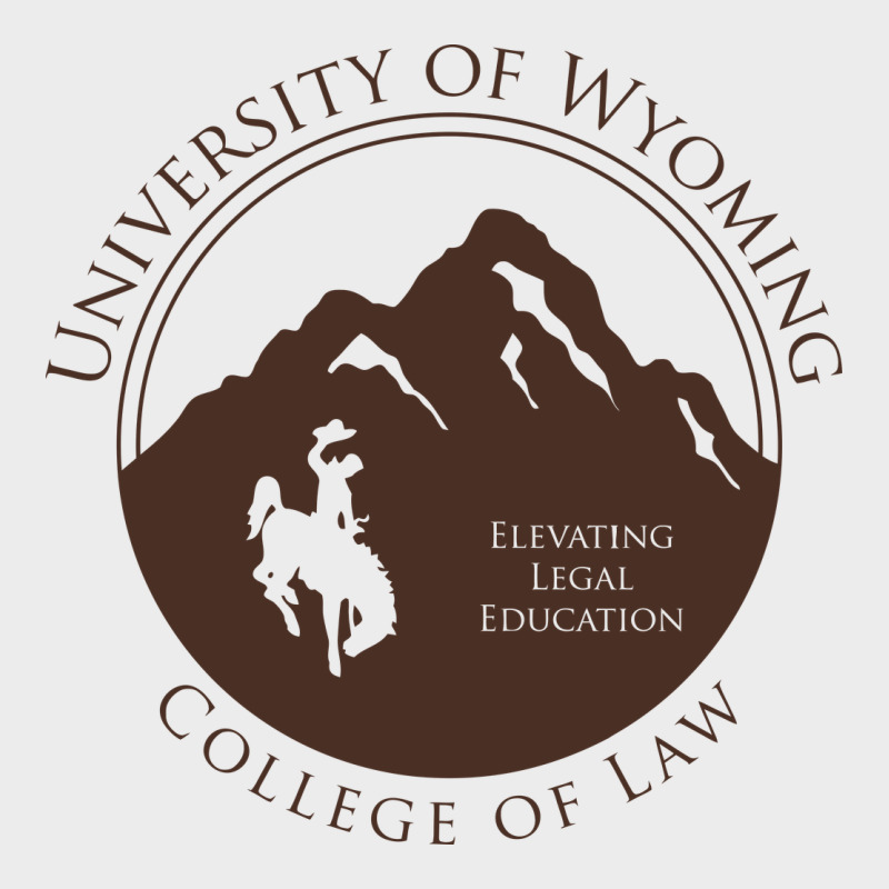 University Of Wyoming Cowboys Urban Hoodie by linhVisuals | Teevron