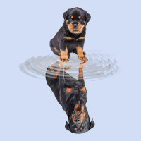 Rottweiler Reflection T Shirt Funny Father's Day Dog Gifts Urban Hoodie | Teevron