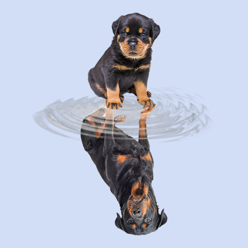 Rottweiler Reflection T Shirt Funny Father's Day Dog Gifts Urban Hoodie by linhVisuals | Teevron