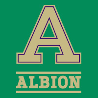Albion College Athleticpurple Urban Hoodie | Teevron