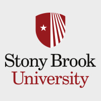 Stony Brook University Urban Hoodie | Teevron