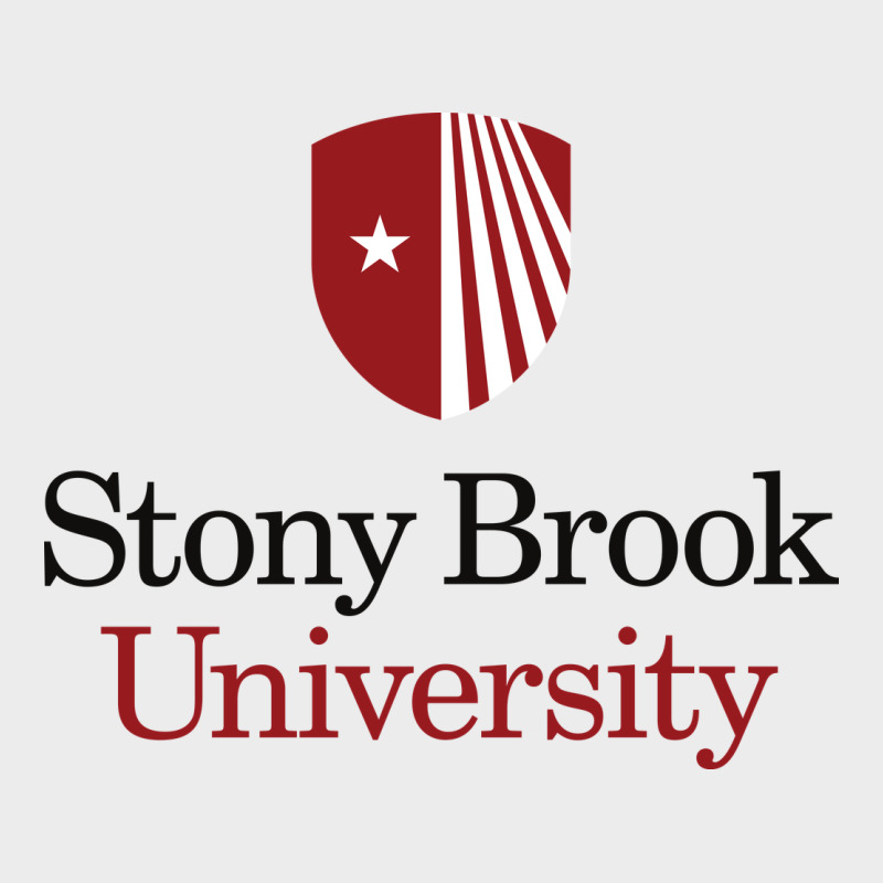 Stony Brook University Urban Hoodie by linhVisuals | Teevron
