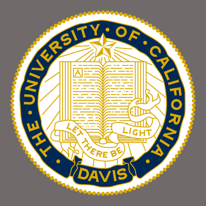 University Of California, Davis Urban Hoodie by linhVisuals | Teevron