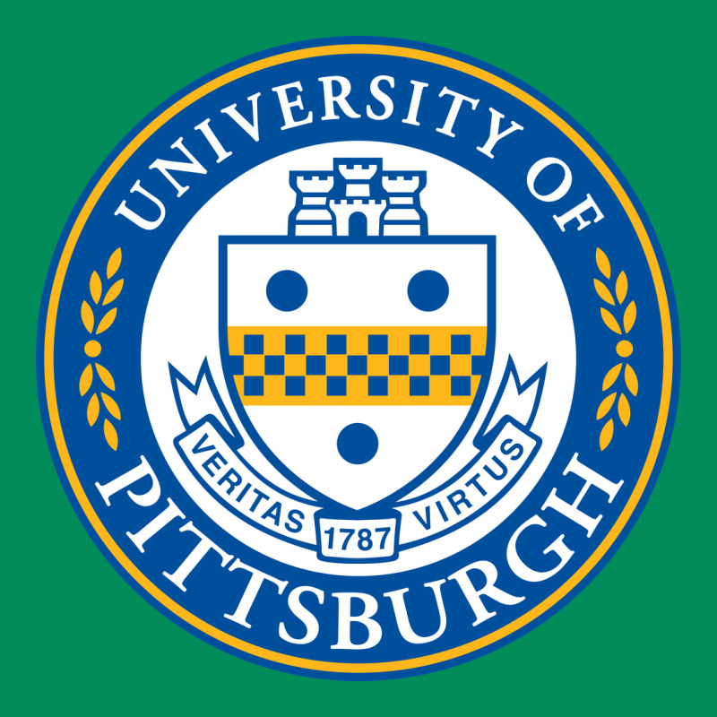 University Of Pittsburgh Urban Hoodie by linhVisuals | Teevron