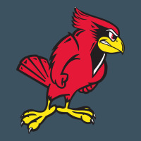 Illinois State Redbirds Urban Hoodie | Teevron