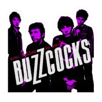Buzzcocks Ever Fallen In Love With Someone You Shouldn't've | Teevron