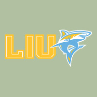 Long Island University Sharks Urban Hoodie | Teevron