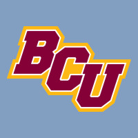 Bethune Cookman Urban Hoodie | Teevron