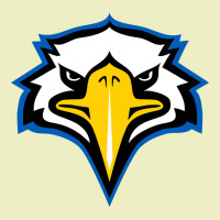 Morehead State Eagles Urban Hoodie | Teevron