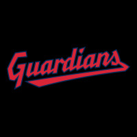 Guardians Urban Hoodie | Teevron