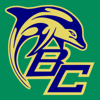 Battery Creek High School, Beaufort Urban Hoodie | Teevron
