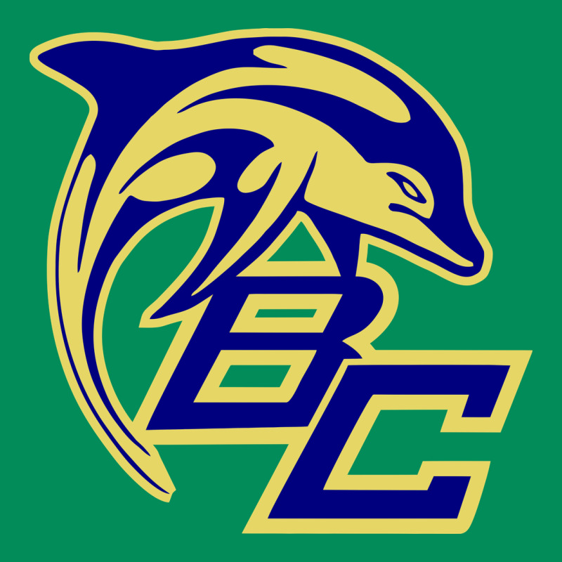 Battery Creek High School, Beaufort Urban Hoodie by linhVisuals | Teevron