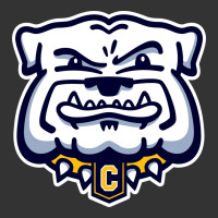 chelse bulldogs | Teevron