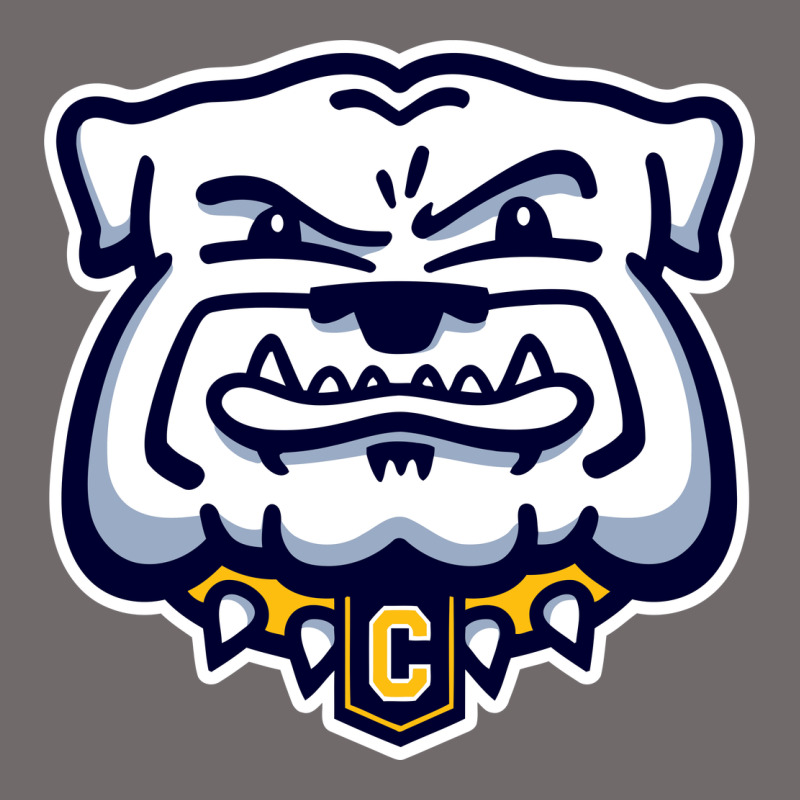 Chelse Bulldogs Urban Hoodie by linhVisuals | Teevron