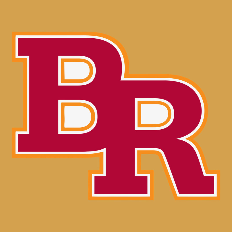Brother Rice High School 3 Urban Hoodie by linhVisuals | Teevron