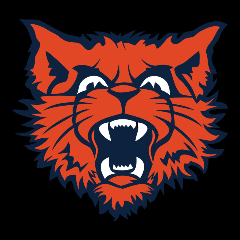 Evanston Township High School Urban Hoodie by linhVisuals | Teevron