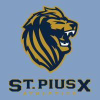 St Pius X High School Athletics Urban Hoodie | Teevron
