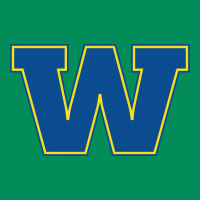 Wooster High School Urban Hoodie | Teevron