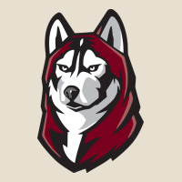 Bloomsburg Huskies Urban Hoodie | Teevron