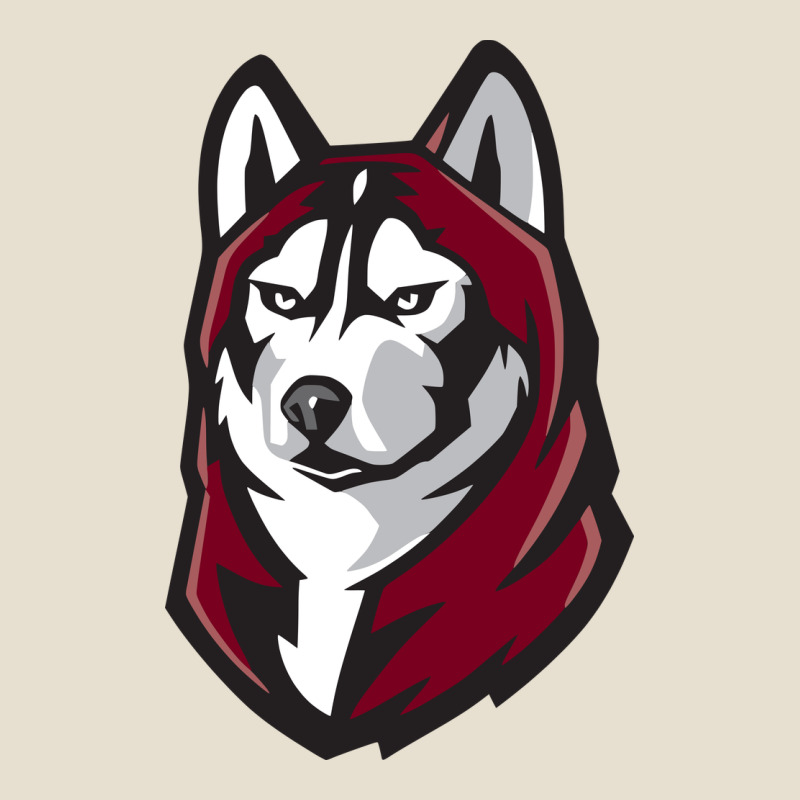 Bloomsburg Huskies Urban Hoodie by linhVisuals | Teevron