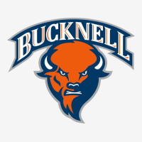 Bucknell Urban Hoodie | Teevron
