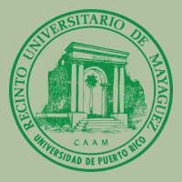 University Of Puerto Rico Mayagüez Urban Hoodie | Teevron