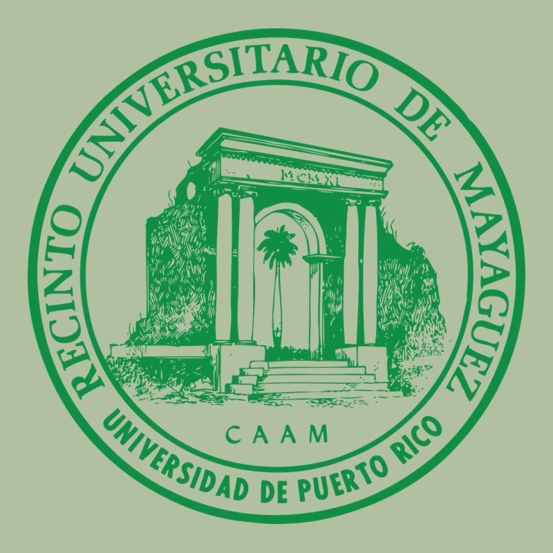 University Of Puerto Rico Mayagüez Urban Hoodie by linhVisuals | Teevron