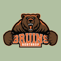 Northrop High School Urban Hoodie | Teevron