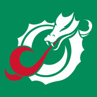 Msum Dragons, Gear Urban Hoodie | Teevron