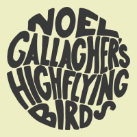 Noel Gallagher's High Flying Birds Classic Urban Hoodie | Teevron
