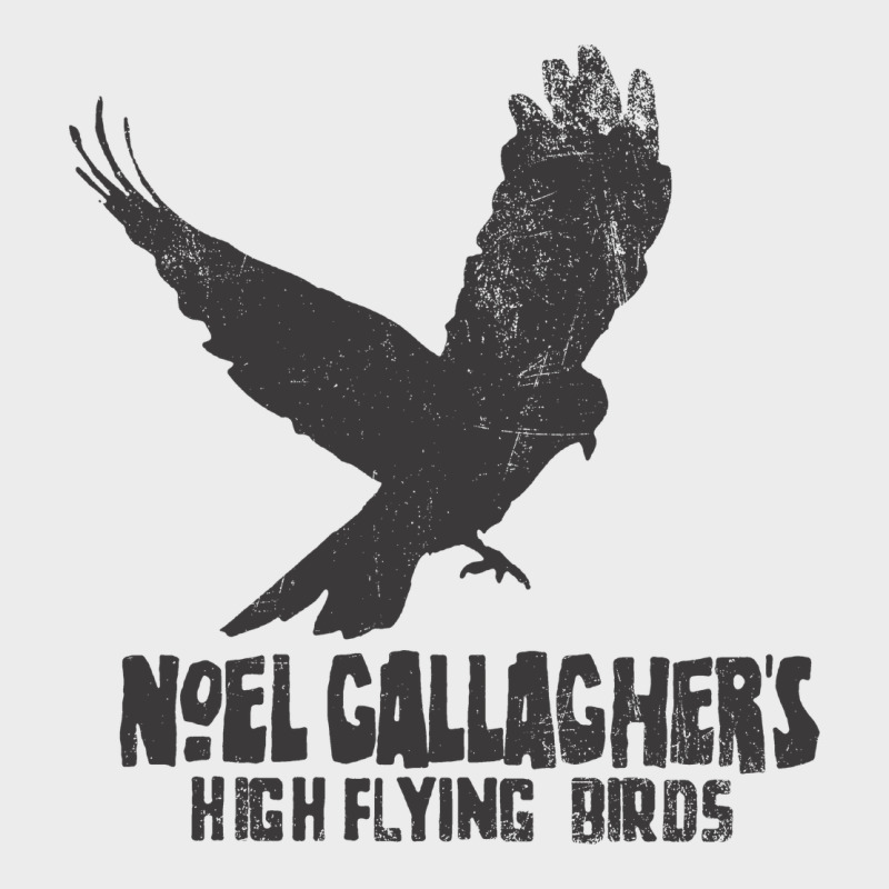 Noel Gallagher's High Flying Birds Classic Urban Hoodie by linhVisuals | Teevron