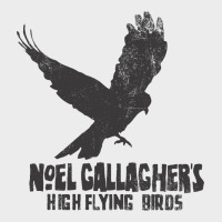 Noel Gallagher's High Flying Birds Classic Urban Hoodie | Teevron