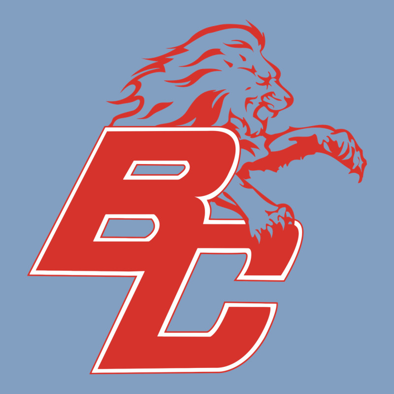 Boyd County High School Baseball Urban Hoodie by linhVisuals | Teevron
