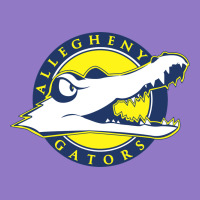 Allegheny Merch Urban Hoodie | Teevron
