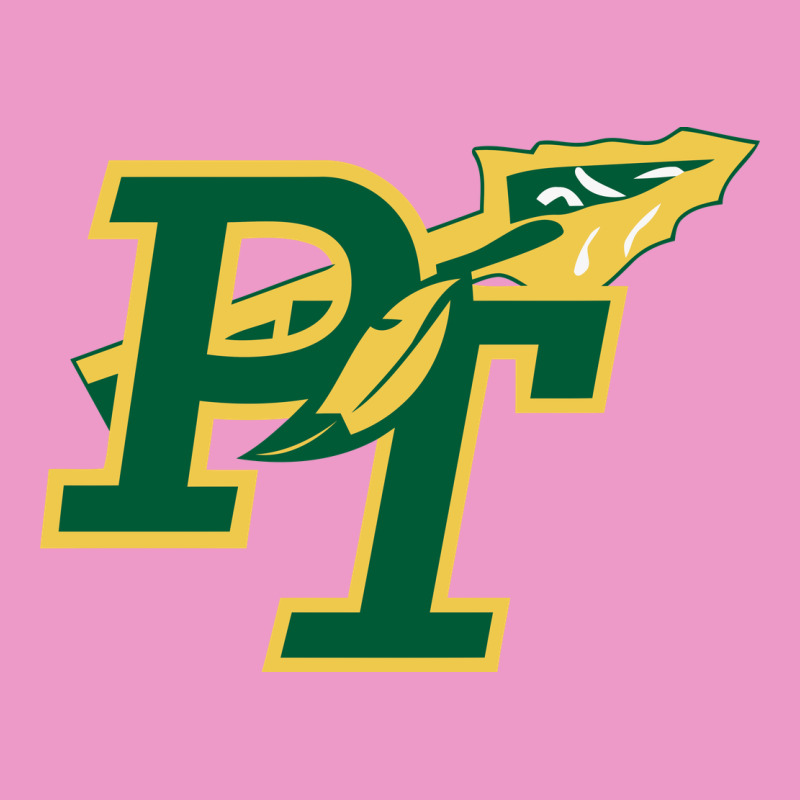 Penn Trafford School District Urban Hoodie by linhVisuals | Teevron