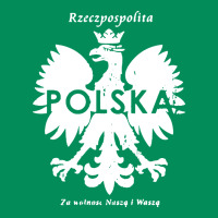 Poland Rzeczpospolita Polska Polish Eagle Symbol Urban Hoodie | Teevron
