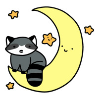 crescent moon raccoon | Teevron