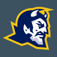 Mt Lebanon High School Urban Hoodie | Teevron