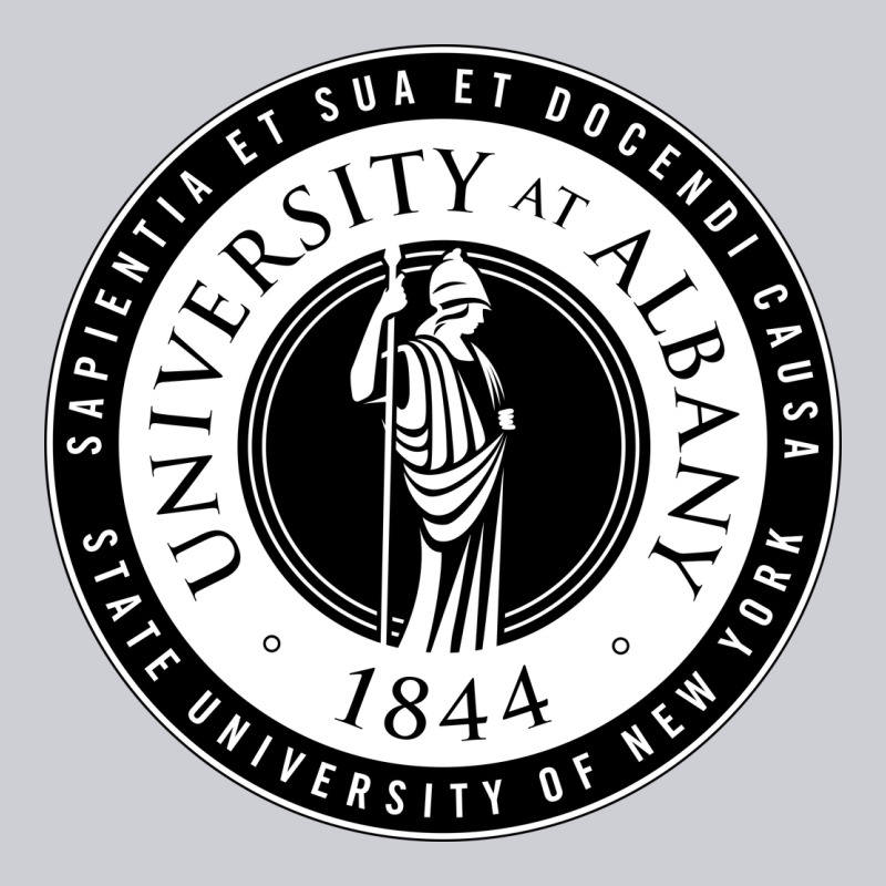 University Albany Suny Urban Hoodie by linhVisuals | Teevron