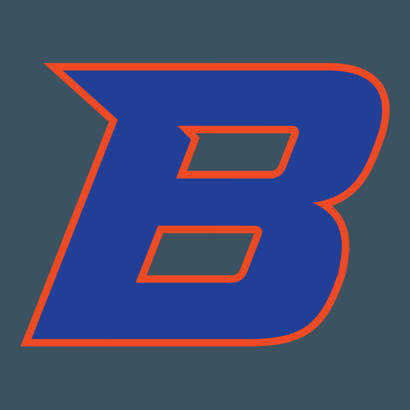 New-boise-state Urban Hoodie by linhVisuals | Teevron
