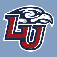 Liberty Flames Urban Hoodie | Teevron