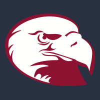 Lock Haven Bald Eagles Urban Hoodie | Teevron