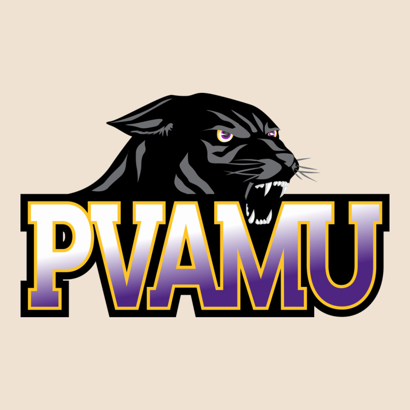 Prairie View A&m Panthers And Lady Panthers Rectangle Patch Urban Hoodie by linhVisuals | Teevron