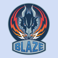 Coventry Blaze Urban Hoodie | Teevron