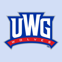 West Georgia Merch, Wolves Urban Hoodie | Teevron