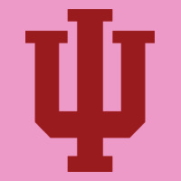 Indiana Gifts Urban Hoodie | Teevron