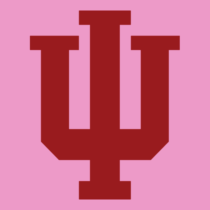 Indiana Gifts Urban Hoodie by linhVisuals | Teevron