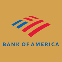 Bank Of America  Company Urban Hoodie | Teevron